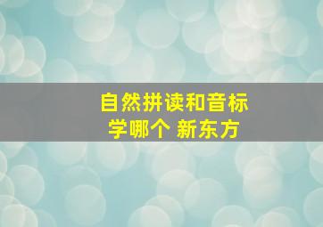 自然拼读和音标学哪个 新东方